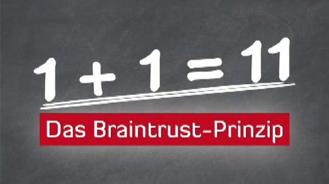 Erfolgspaket »Das Braintrust-Prinzip«
